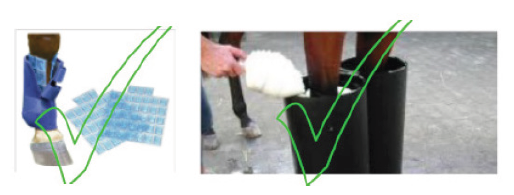 Application of ice or cold water to musculoskeletal structures