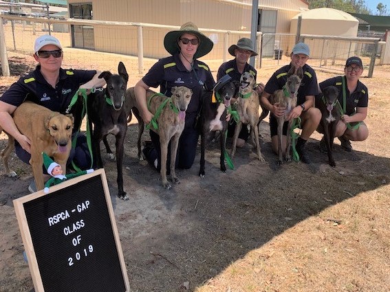 QRIC Greyhound Adoption Program, RSPCA Qld Inspectors