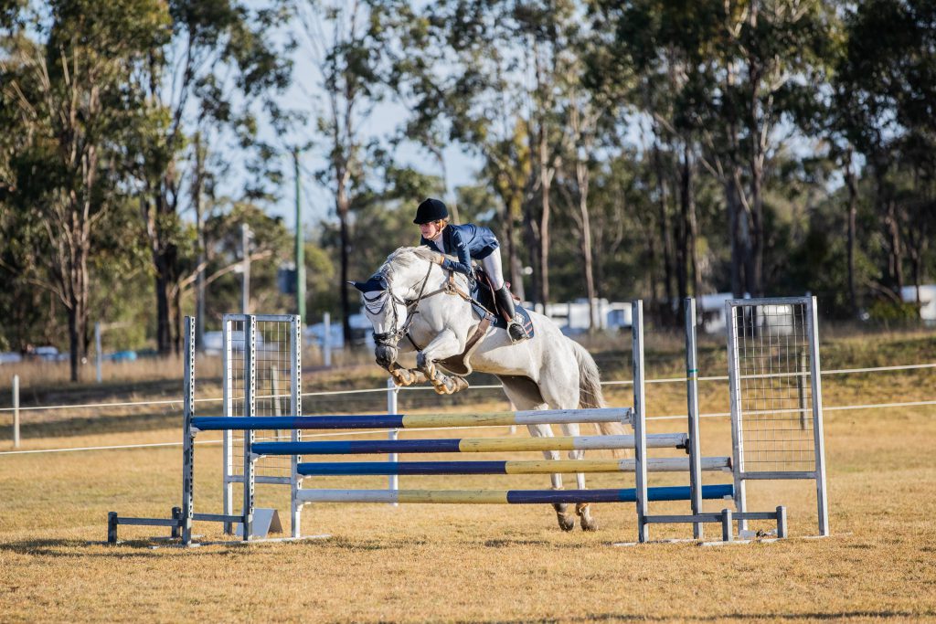 QRIC Racing Animal Welfare grants open on 1 July – Queensland Racing  Integrity Commission