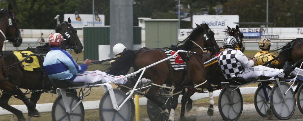 Industry Notice: Things to remember during Harness Racing Winter Carnival