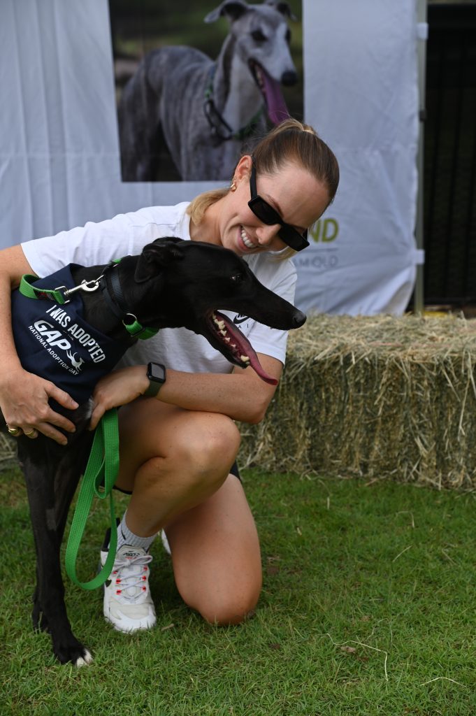 QRIC Media Release: Retired greyhound racers feel the love with adoption spike